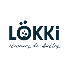 logo lokki